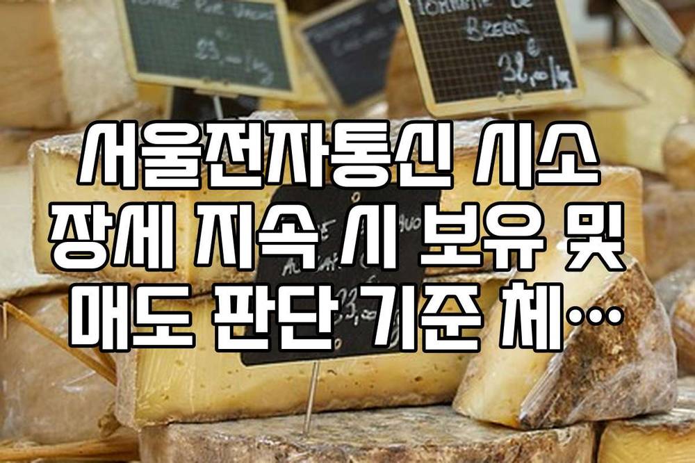 서울전자통신 시소 장세 지속 시 보유 및 매도 판단 기준 체크리스트