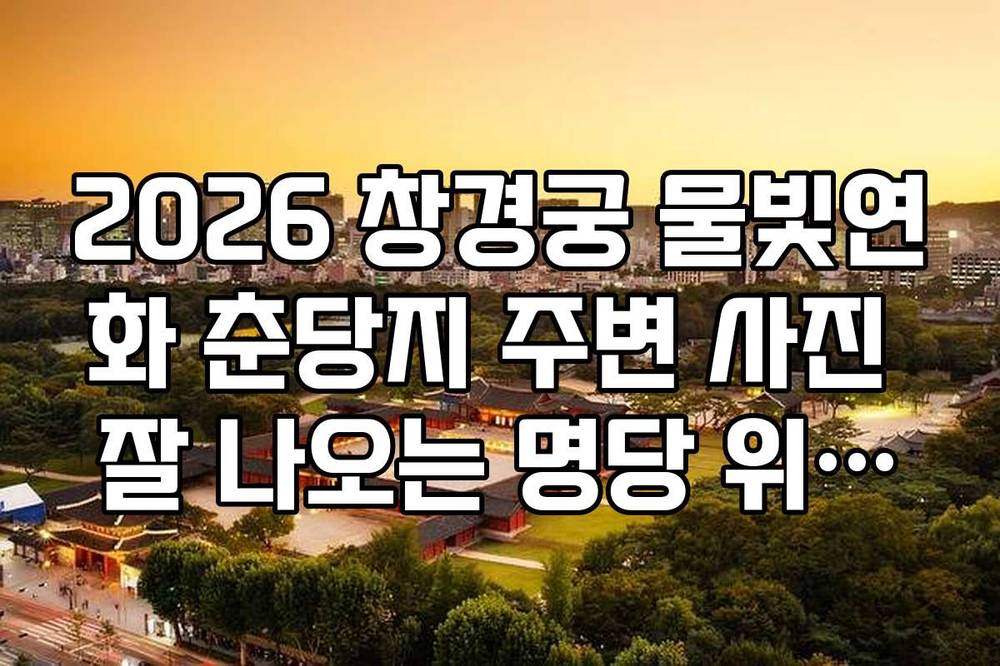 2026 창경궁 물빛연화 춘당지 주변 사진 잘 나오는 명당 위치와 촬영 팁