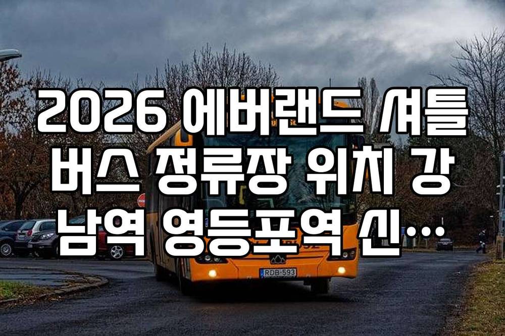 2026 에버랜드 셔틀버스 정류장 위치 강남역 영등포역 신도림역 상세 안내