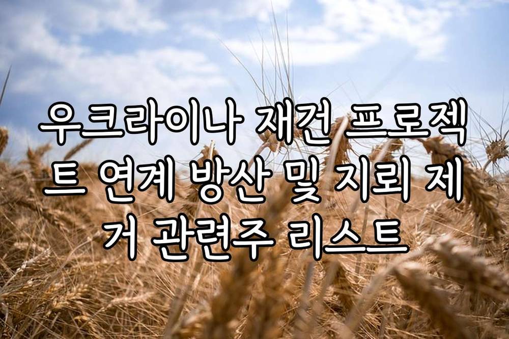 우크라이나 재건 프로젝트 연계 방산 및 지뢰 제거 관련주 리스트