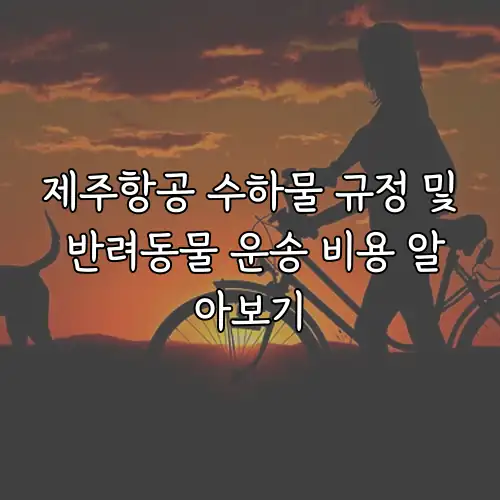 제주항공 수하물 규정 및 반려동물 운송 비용 알아보기