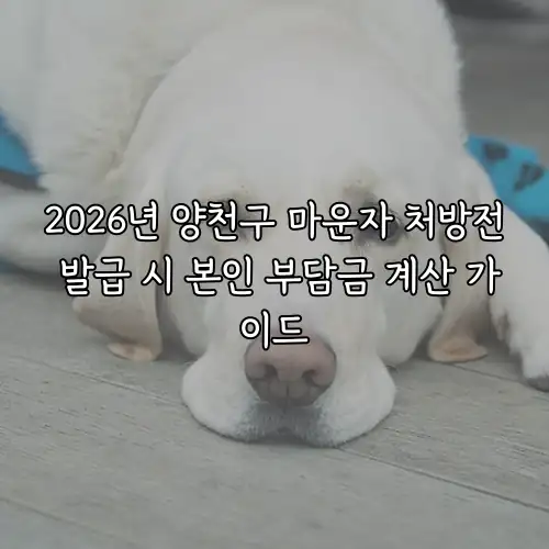 2026년 양천구 마운자 처방전 발급 시 본인 부담금 계산 가이드