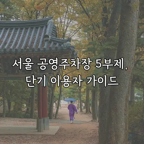 서울 공영주차장 5부제, 단기 이용자 가이드