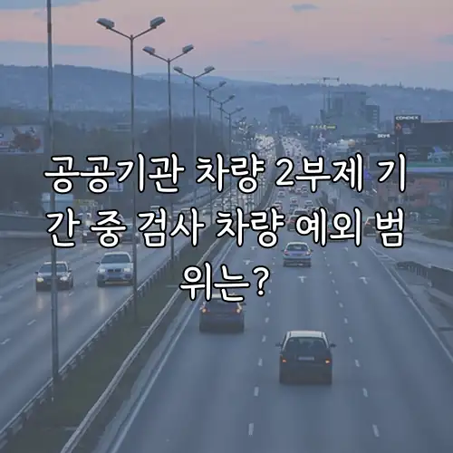 공공기관 차량 2부제 기간 중 검사 차량 예외 범위는?
