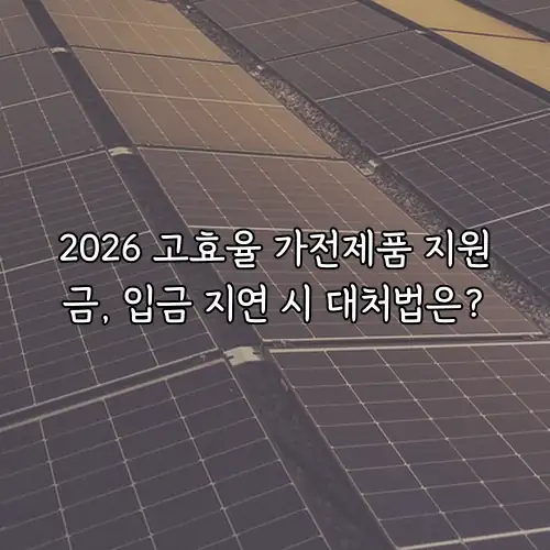 2026 고효율 가전제품 지원금, 입금 지연 시 대처법은?