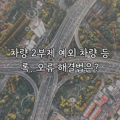 차량 2부제 예외 차량 등록, 오류 해결법은?