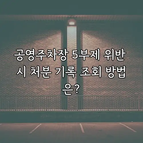 공영주차장 5부제 위반 시 처분 기록 조회 방법은?