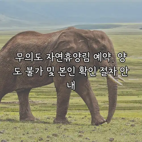 무의도 자연휴양림 예약, 양도 불가 및 본인 확인 절차 안내