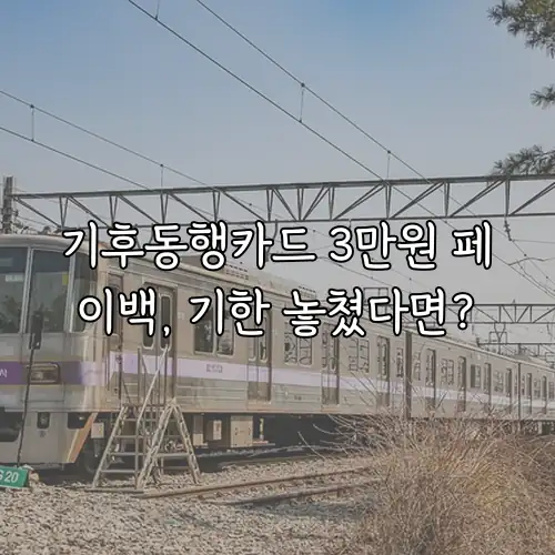 기후동행카드 3만원 페이백, 기한 놓쳤다면?