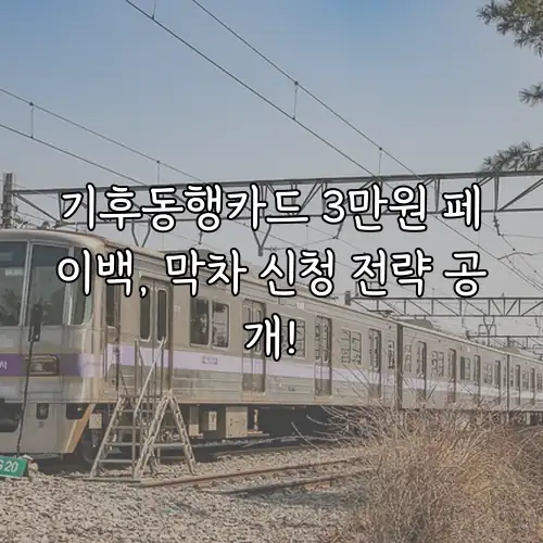 기후동행카드 3만원 페이백, 막차 신청 전략 공개!