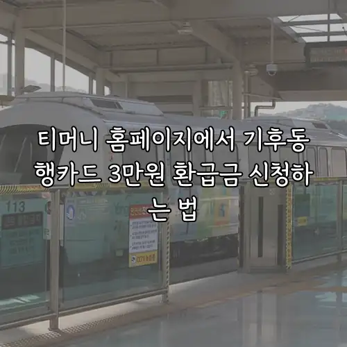 티머니 홈페이지에서 기후동행카드 3만원 환급금 신청하는 법