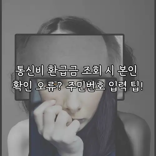 통신비 환급금 조회 시 본인 확인 오류? 주민번호 입력 팁!