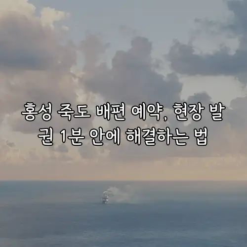 홍성 죽도 배편 예약, 현장 발권 1분 안에 해결하는 법