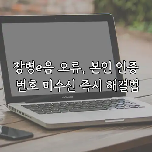 장병e음 오류, 본인 인증 번호 미수신 즉시 해결법