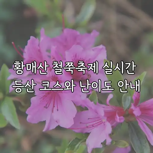 황매산 철쭉축제 실시간 등산 코스와 난이도 안내