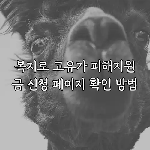 복지로 고유가 피해지원금 신청 페이지 확인 방법