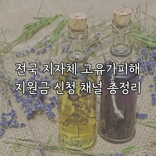 전국 지자체 고유가피해지원금 신청 채널 총정리
