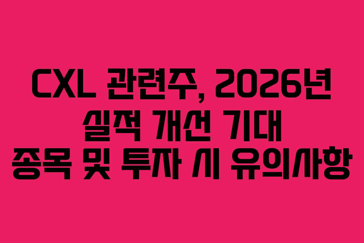 CXL-관련주,-2026년-실적-개선-기대-종목-및-투자-시-유의사항