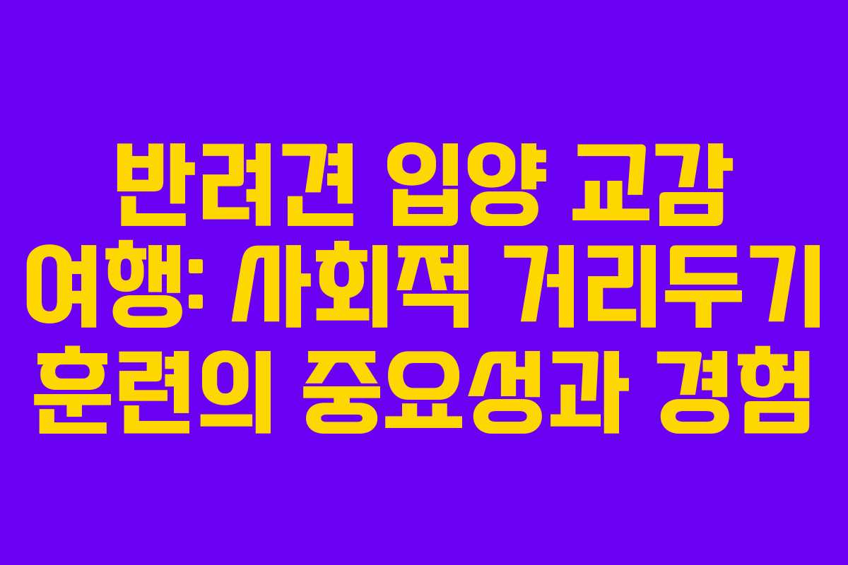 반려견-입양-교감-여행-사회적-거리두기-훈련의-중요성과-경험