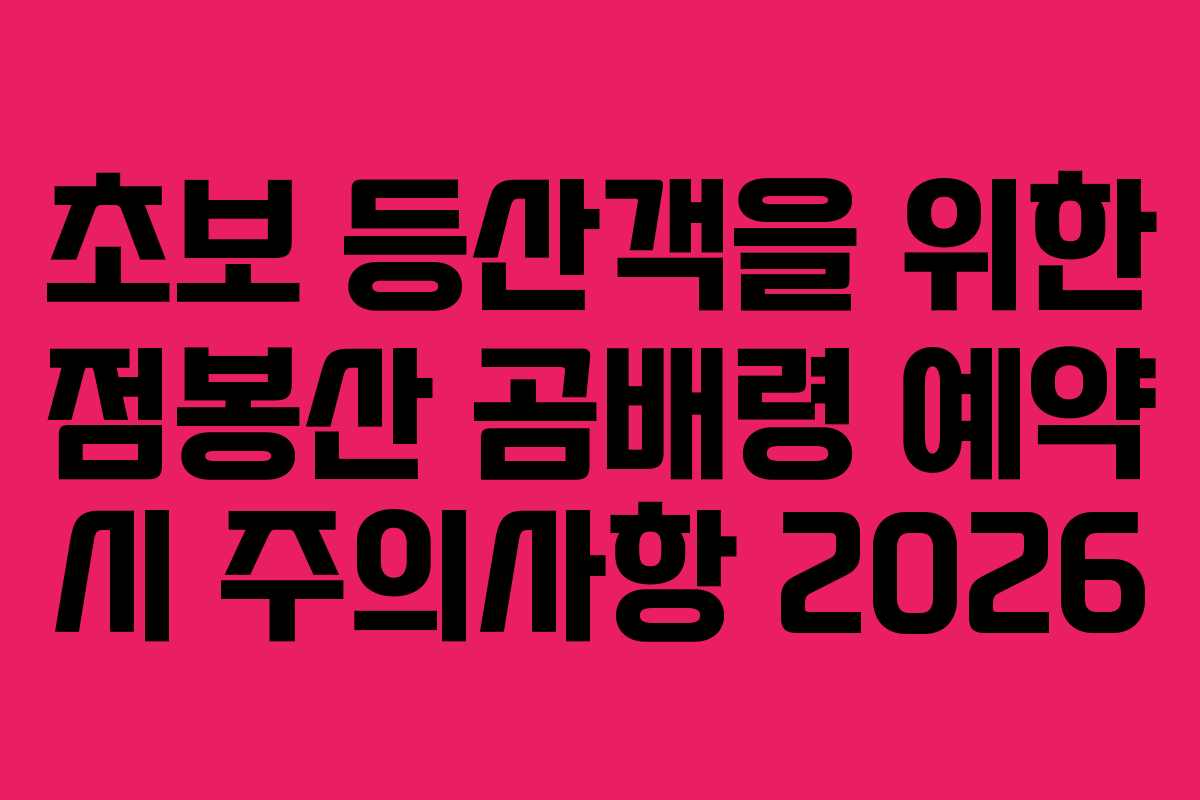 초보-등산객을-위한-점봉산-곰배령-예약-시-주의사항-2026