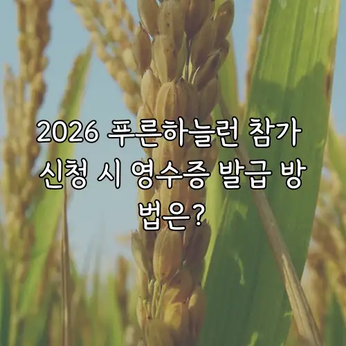 2026 푸른하늘런 참가 신청 시 영수증 발급 방법은?