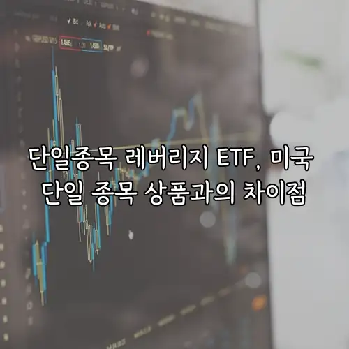 단일종목 레버리지 ETF, 미국 단일 종목 상품과의 차이점