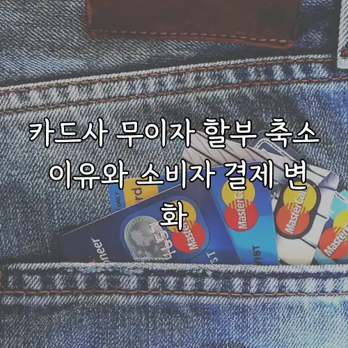 카드사 무이자 할부 축소 이유와 소비자 결제 변화