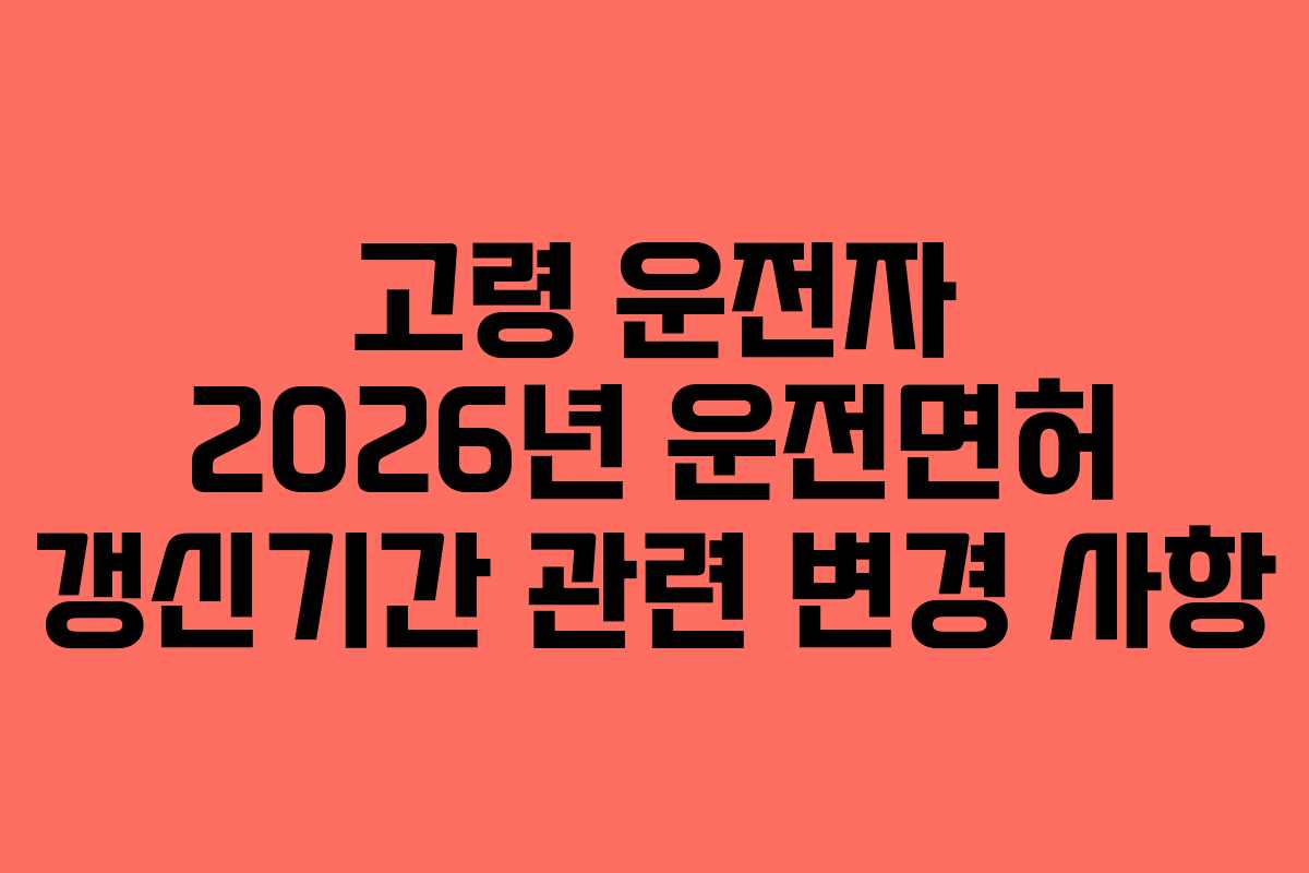 고령-운전자-2026년-운전면허-갱신기간-관련-변경-사항