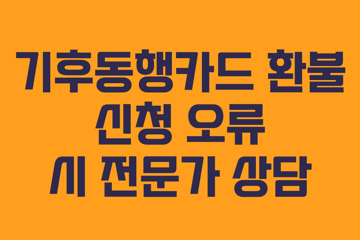 기후동행카드-환불-신청-오류-시-전문가-상담