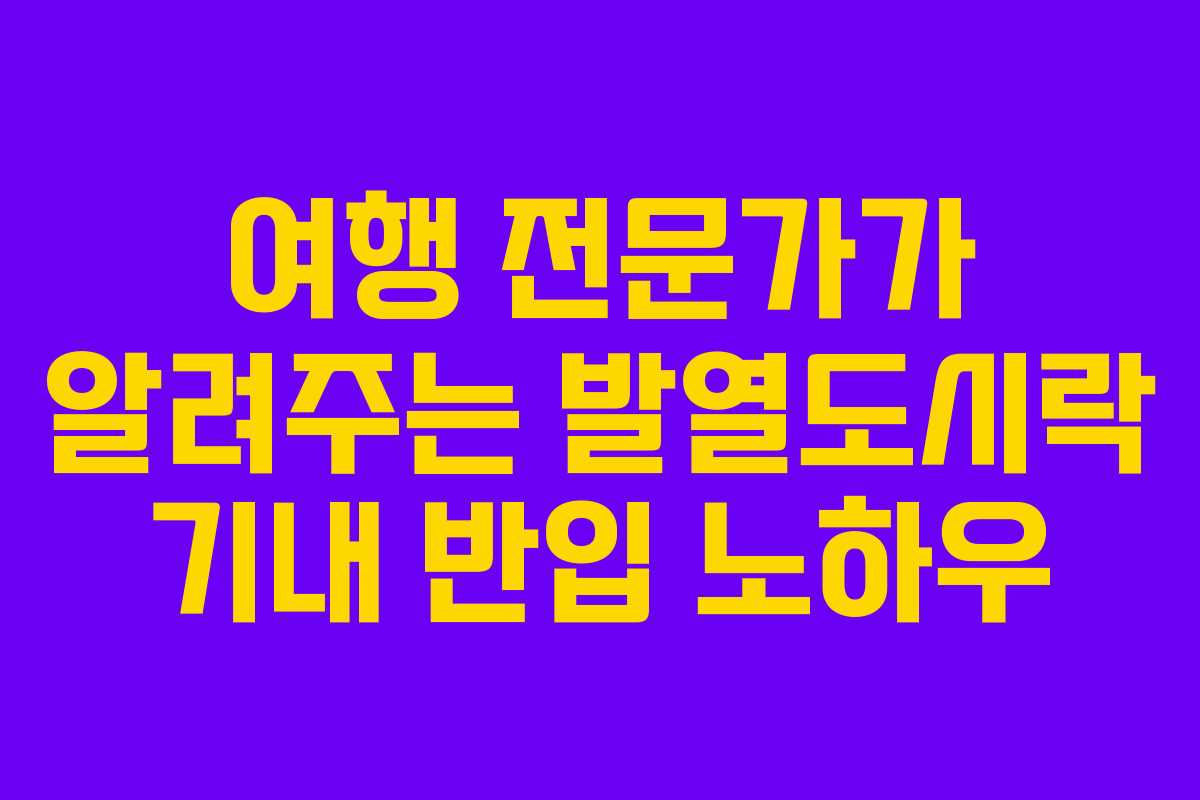 여행-전문가가-알려주는-발열도시락-기내-반입-노하우