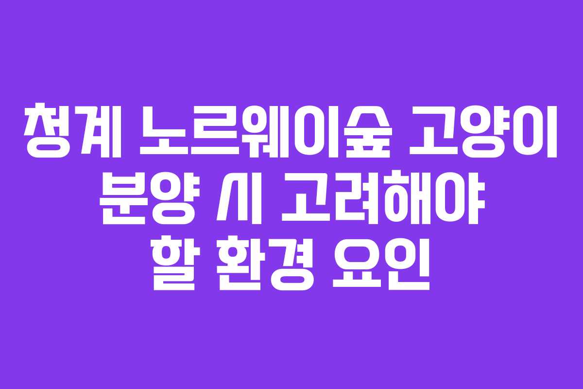 청계-노르웨이숲-고양이-분양-시-고려해야-할-환경-요인