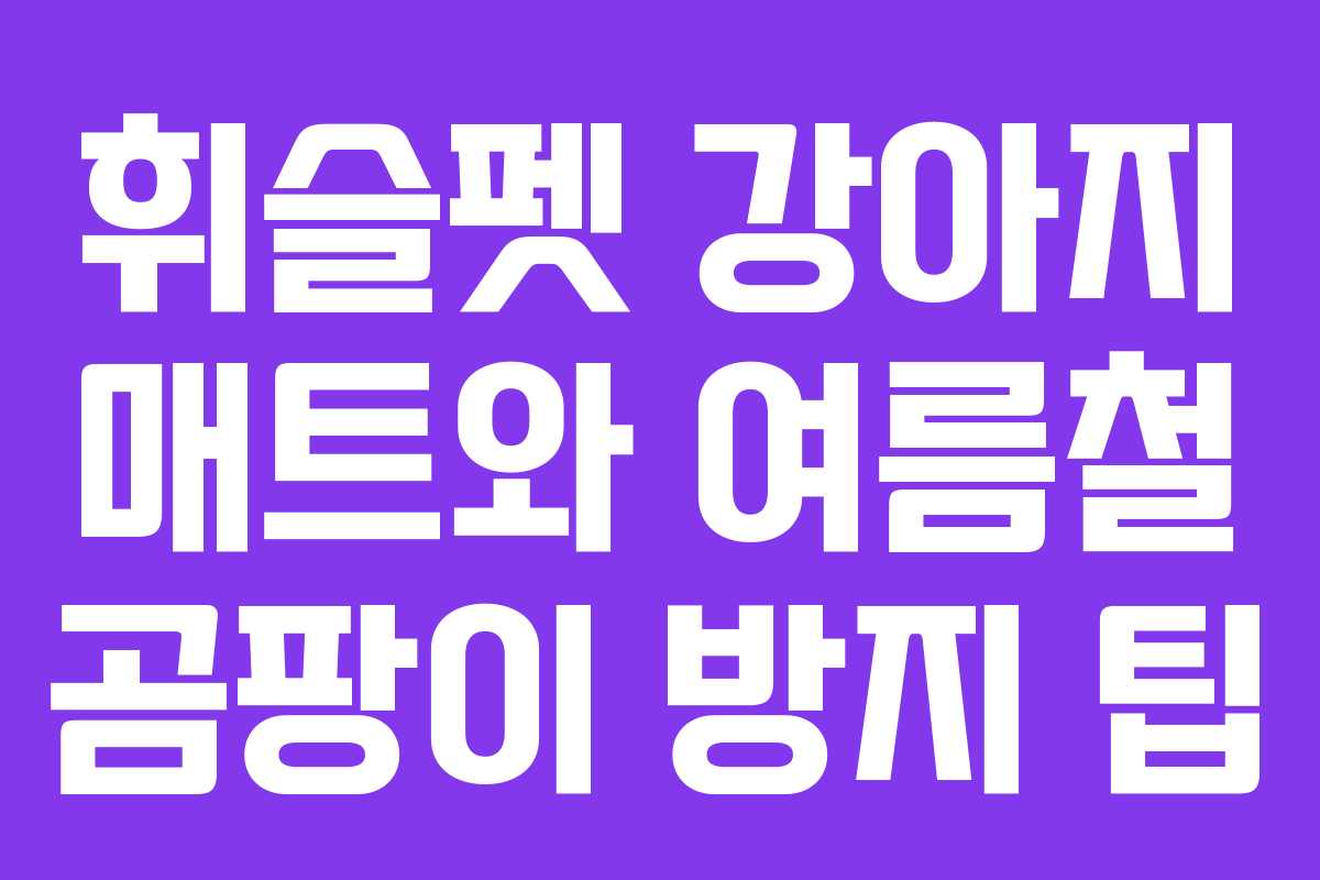 휘슬펫-강아지-매트와-여름철-곰팡이-방지-팁